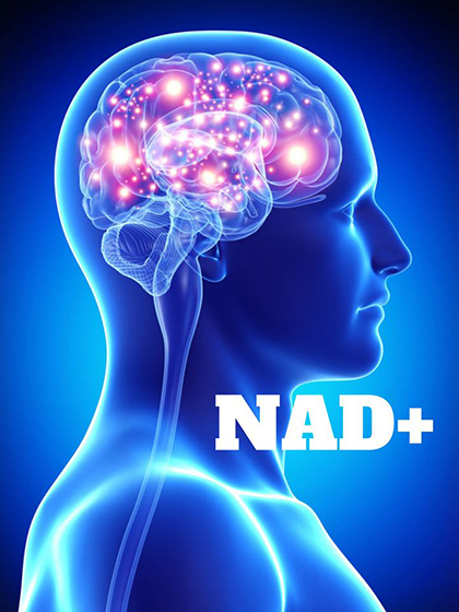 What is NAD+